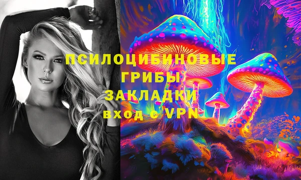 2c-b Верея