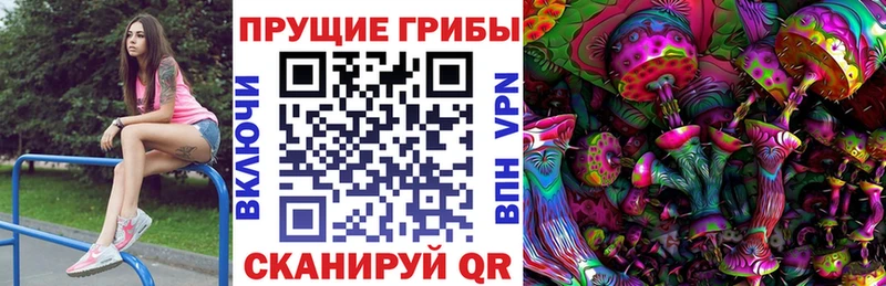 Псилоцибиновые грибы прущие грибы Ковдор