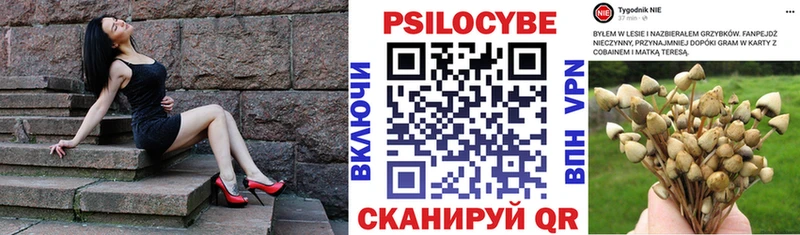 Галлюциногенные грибы MAGIC MUSHROOMS  что такое   Ковдор 
